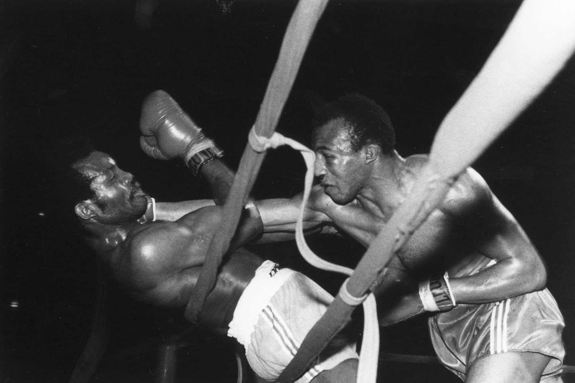 OUT OF THE RING: The Intimate Photographs of James A. Fox — SoHo